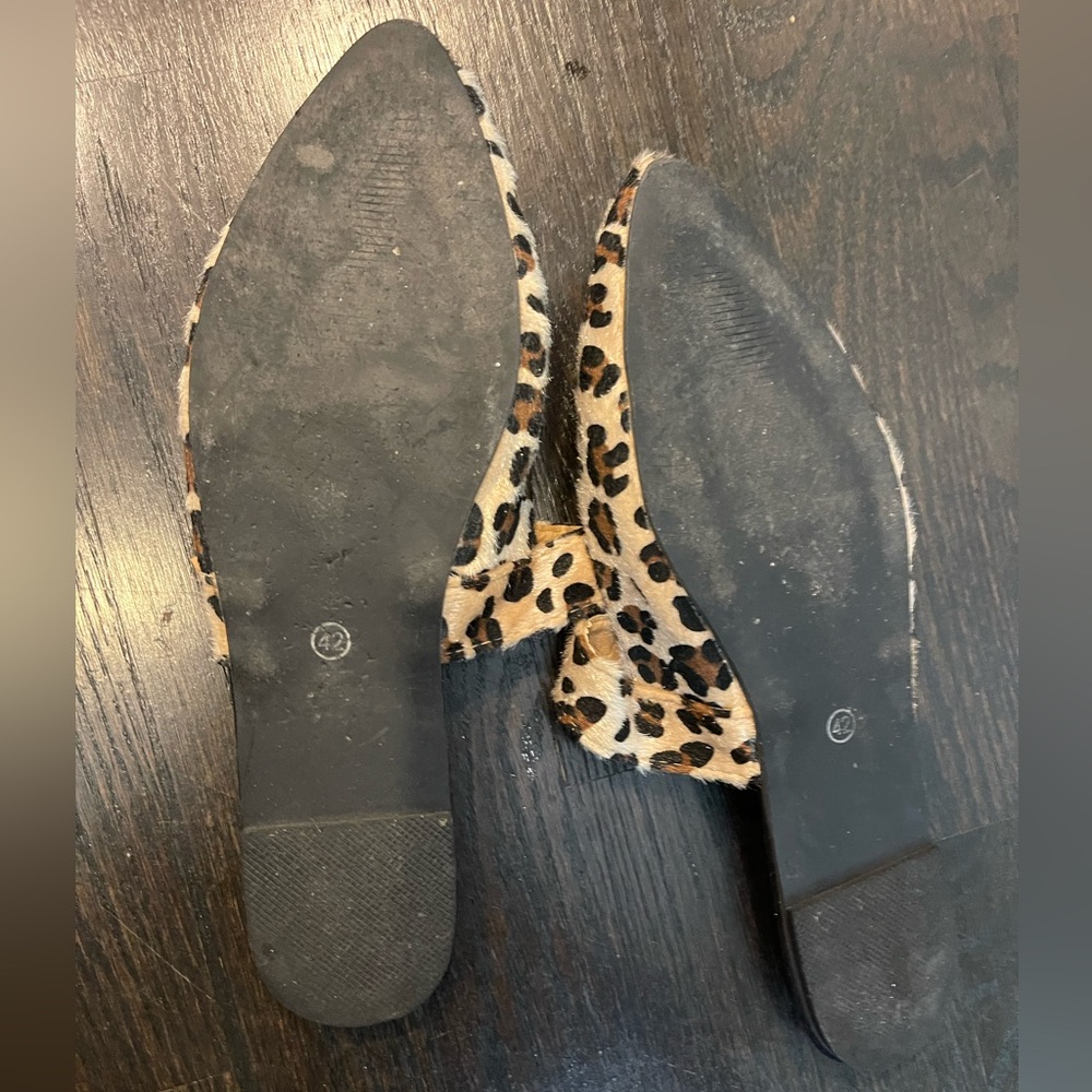 Leopard Flats - Picture 8 of 15